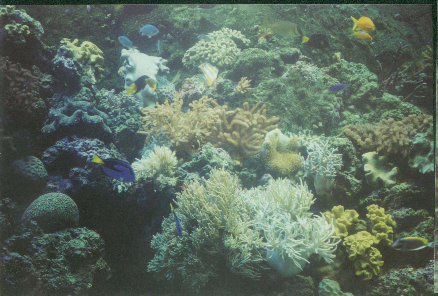 aquarium001.jpg